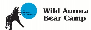 Wild Aurora Bear Logo